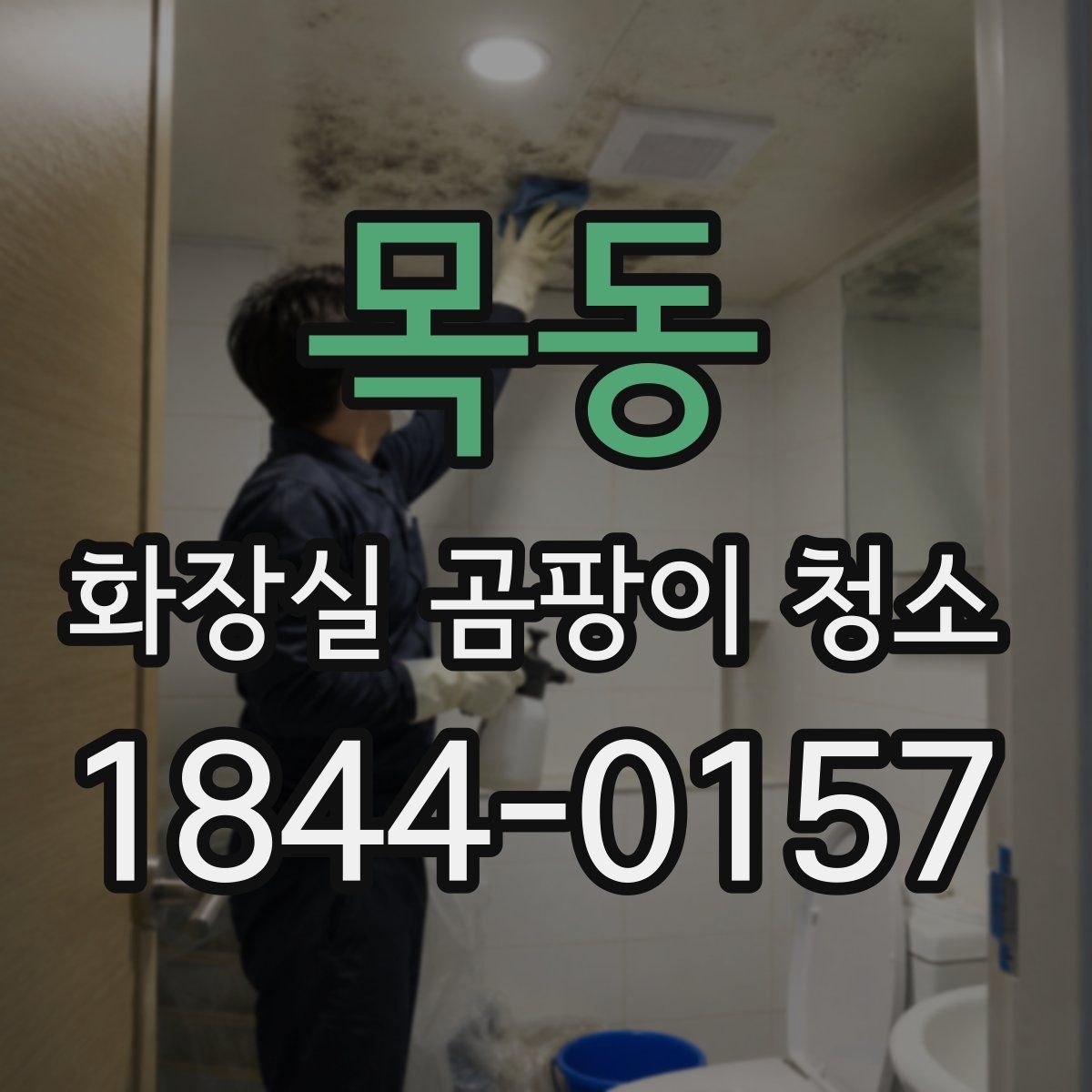 목동 화장실 곰팡이 청소