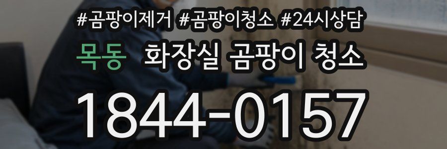 목동 화장실 곰팡이 청소