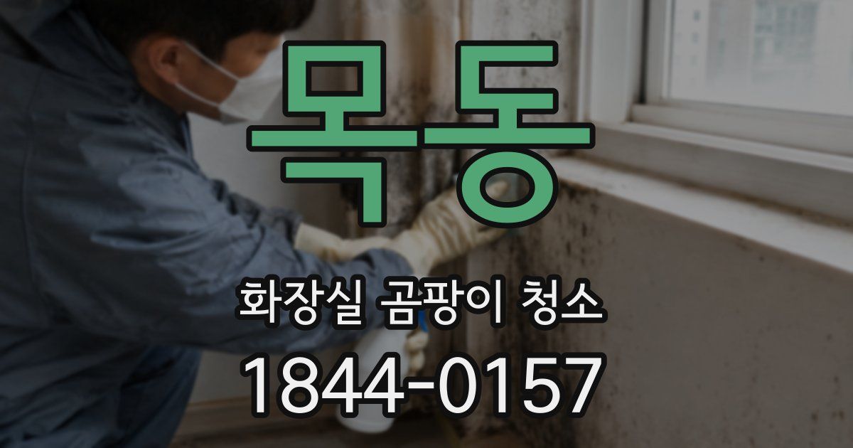 목동 화장실 곰팡이 청소