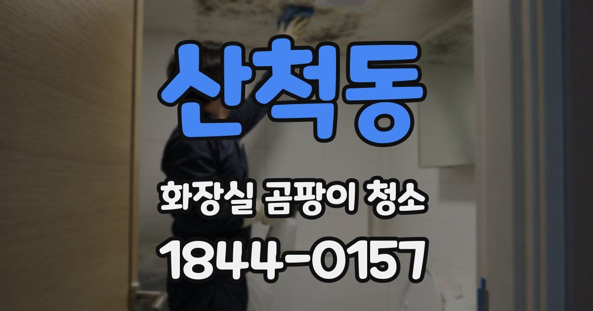 산척동 화장실 곰팡이 청소