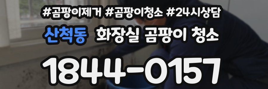 산척동 화장실 곰팡이 청소