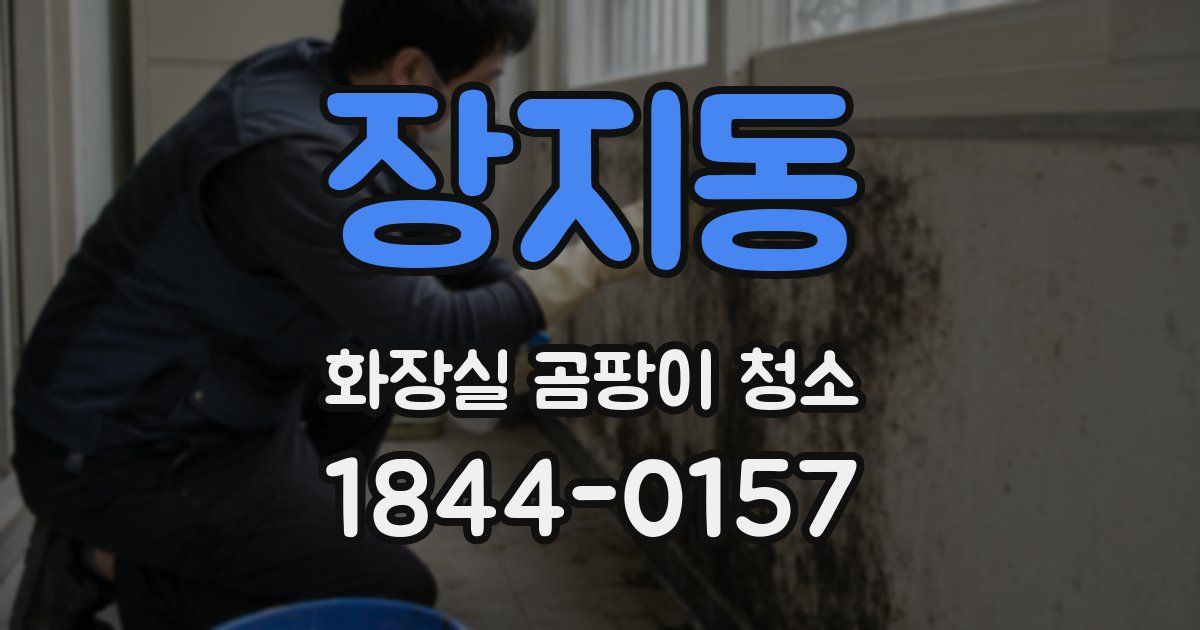 장지동 화장실 곰팡이 청소