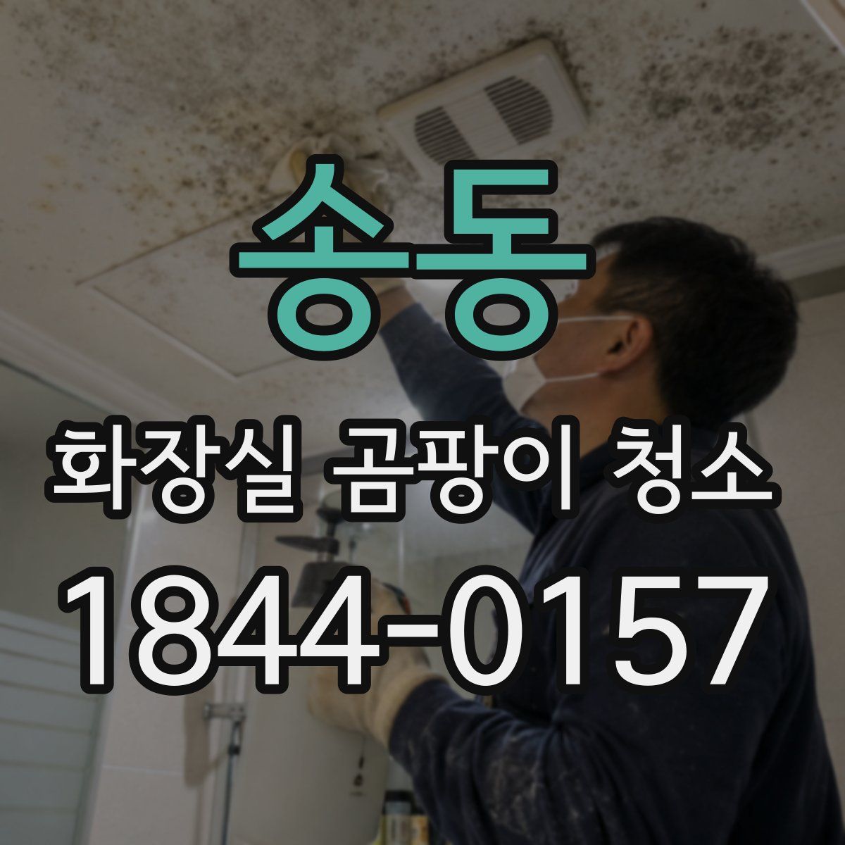 송동 화장실 곰팡이 청소