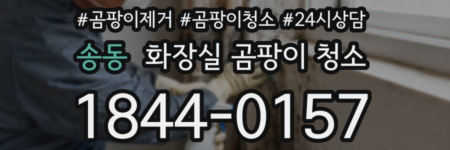 송동 화장실 곰팡이 청소