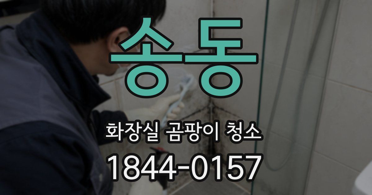 송동 화장실 곰팡이 청소