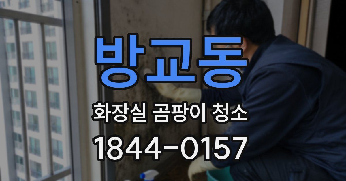 방교동 화장실 곰팡이 청소