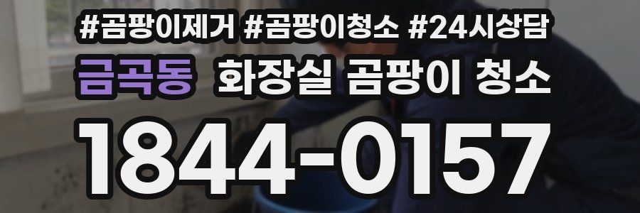 금곡동 화장실 곰팡이 청소