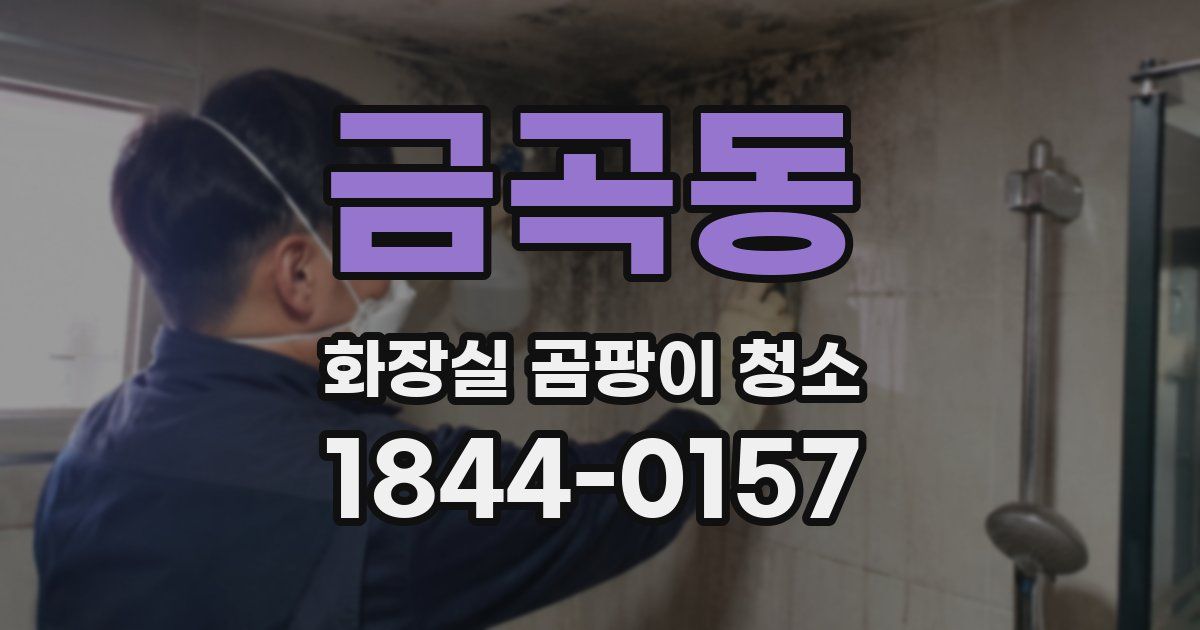 금곡동 화장실 곰팡이 청소