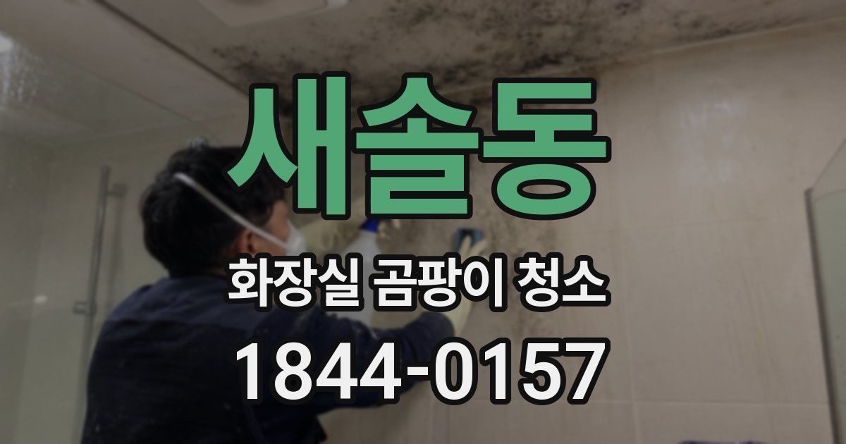 새솔동 화장실 곰팡이 청소