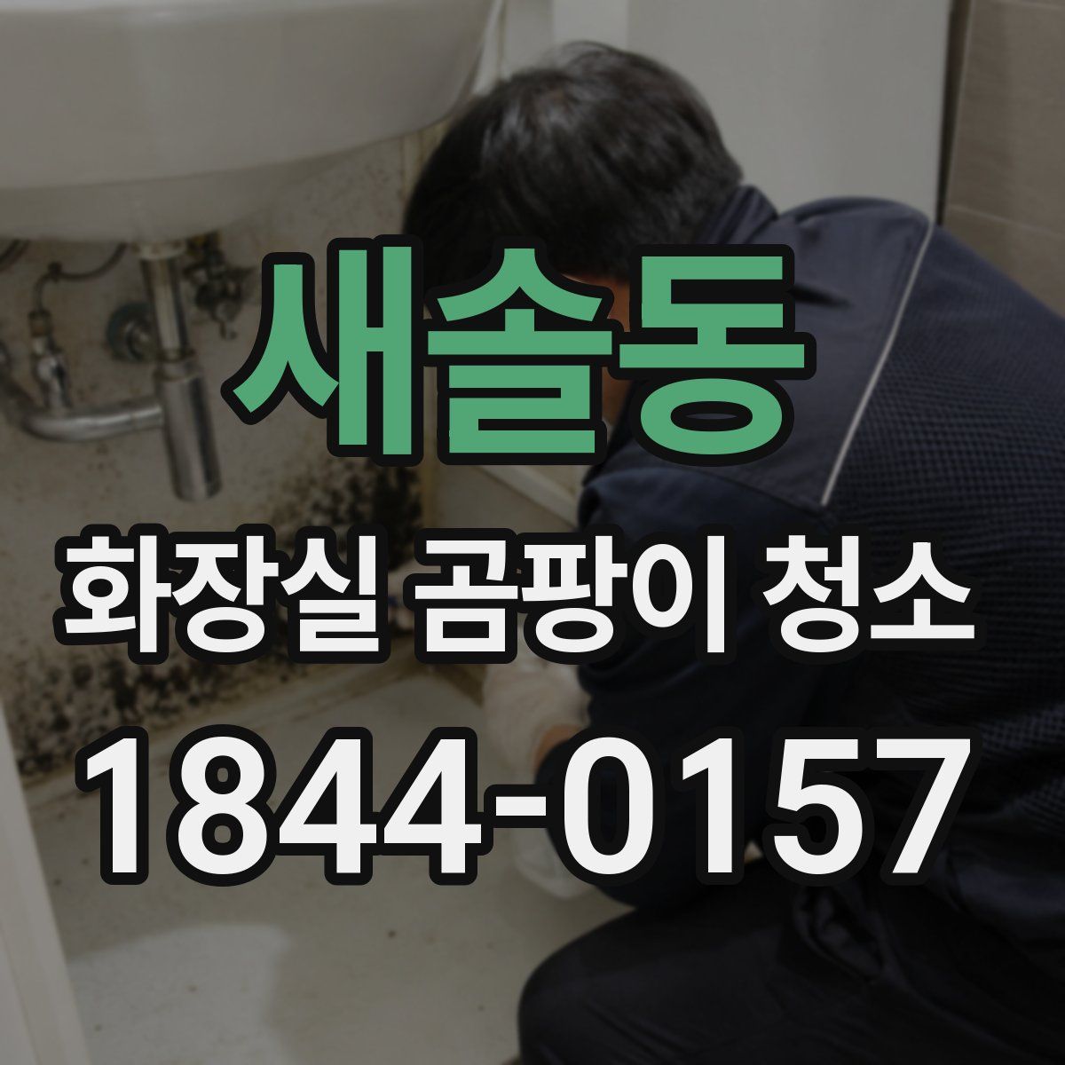 새솔동 화장실 곰팡이 청소