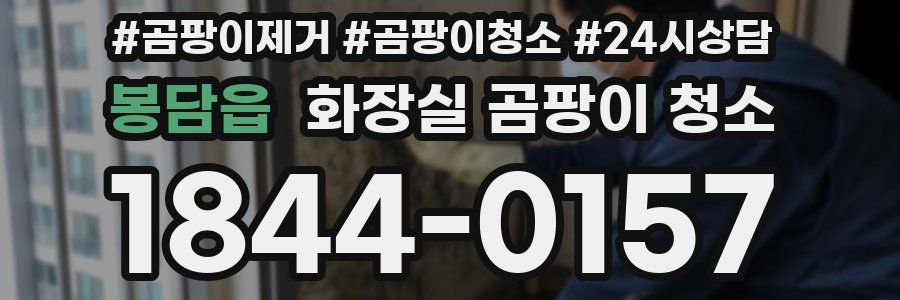 봉담읍 화장실 곰팡이 청소