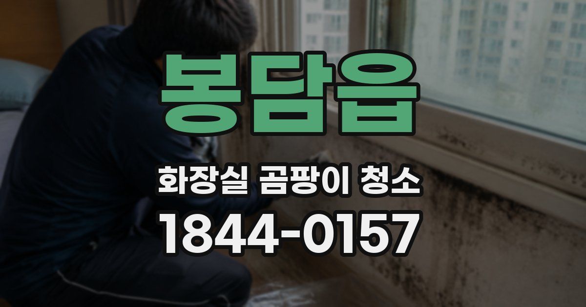 봉담읍 화장실 곰팡이 청소