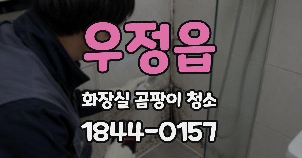 우정읍 화장실 곰팡이 청소