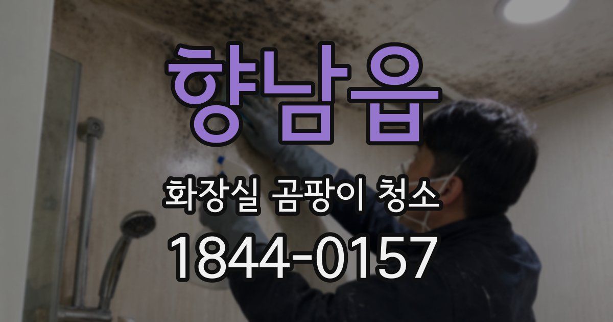 향남읍 화장실 곰팡이 청소