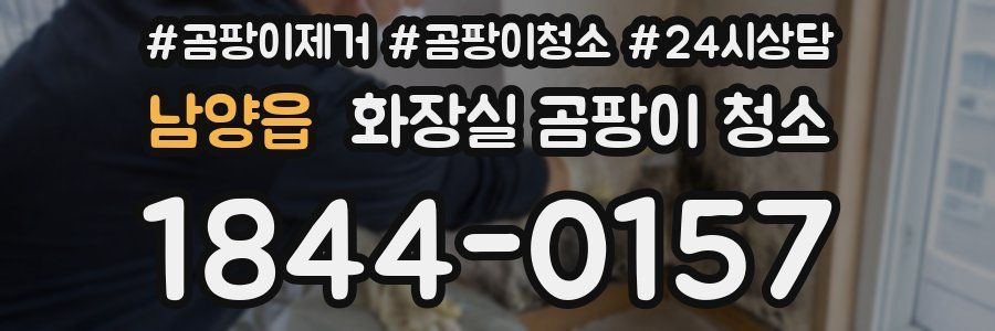 남양읍 화장실 곰팡이 청소