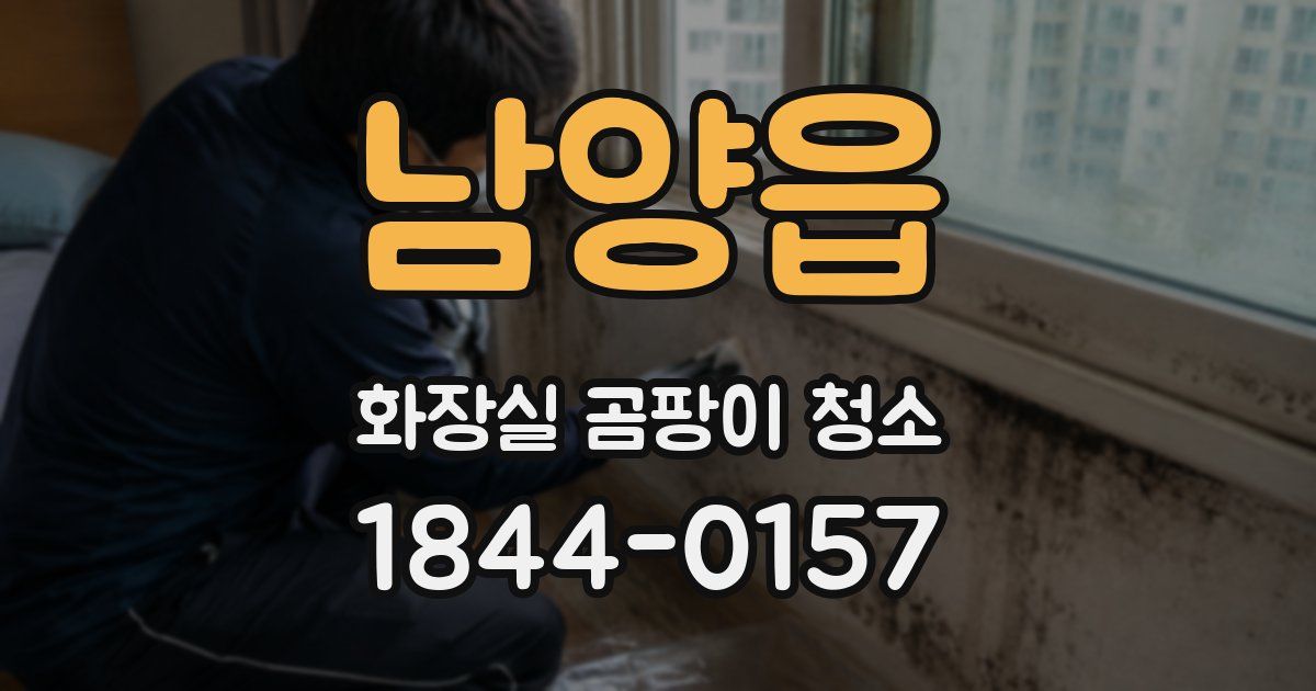 남양읍 화장실 곰팡이 청소