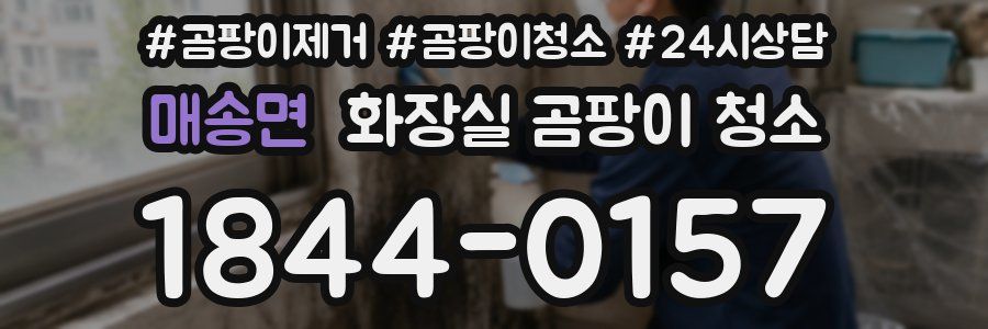 매송면 화장실 곰팡이 청소