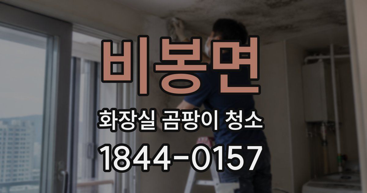 비봉면 화장실 곰팡이 청소