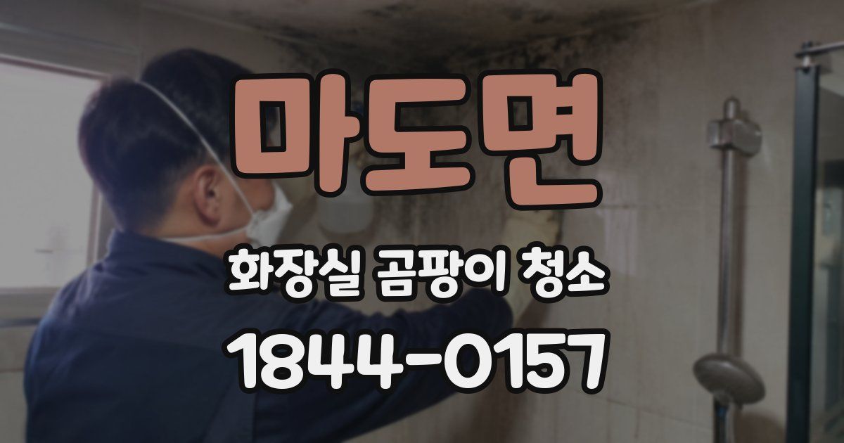 마도면 화장실 곰팡이 청소