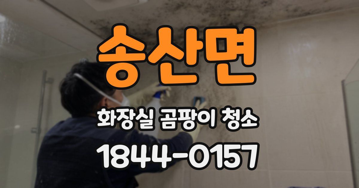 송산면 화장실 곰팡이 청소