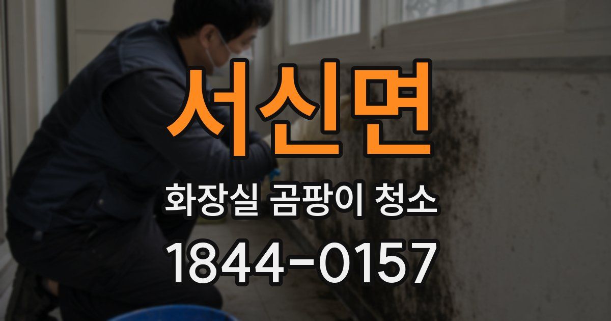 서신면 화장실 곰팡이 청소