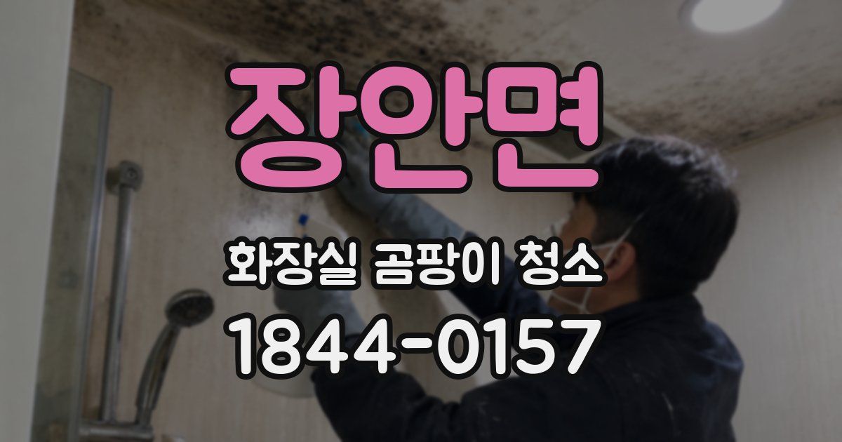 장안면 화장실 곰팡이 청소