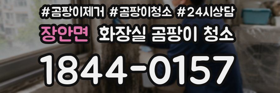 장안면 화장실 곰팡이 청소