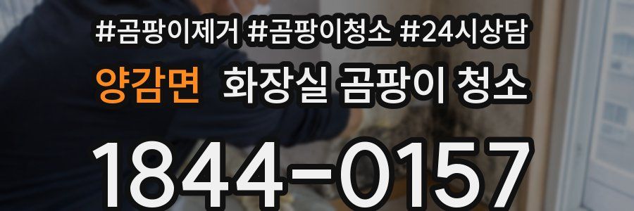 양감면 화장실 곰팡이 청소