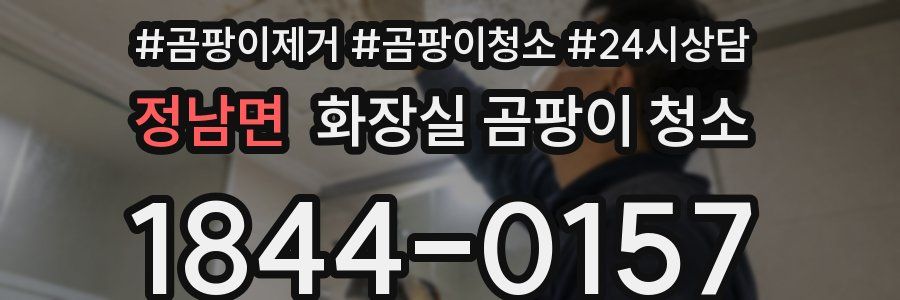 정남면 화장실 곰팡이 청소