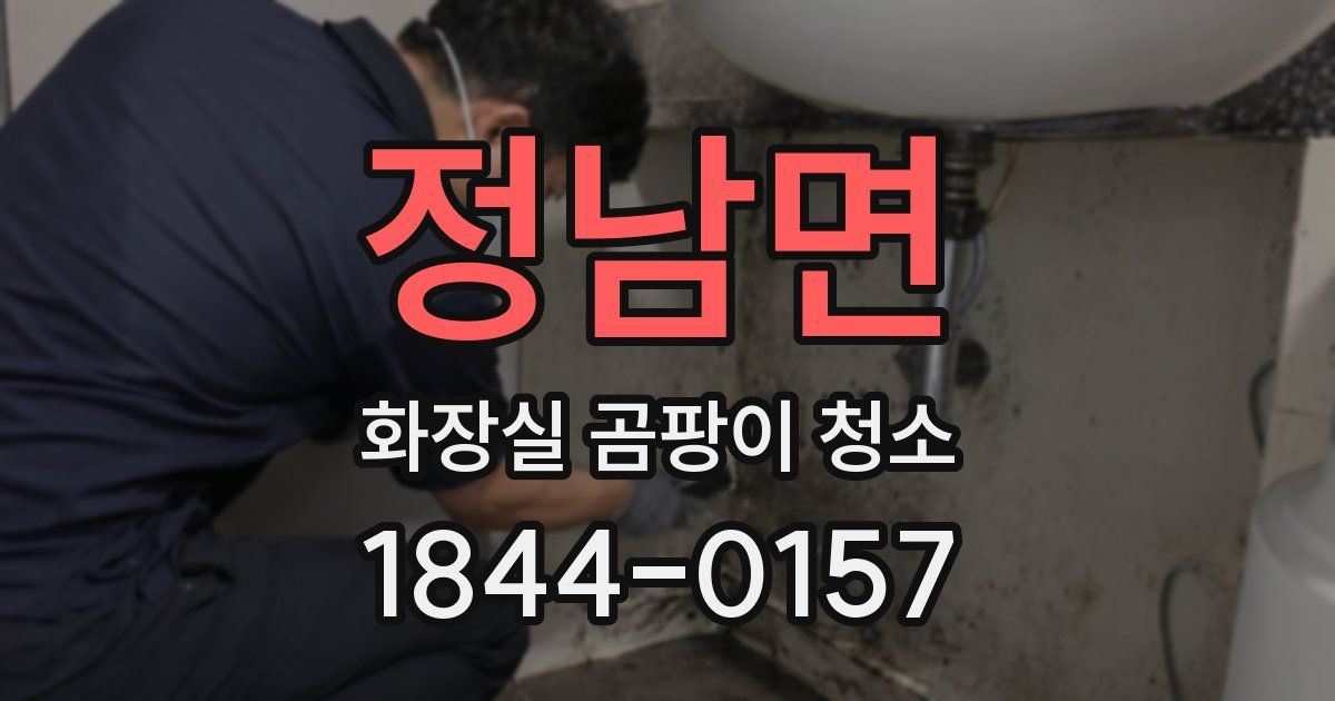정남면 화장실 곰팡이 청소