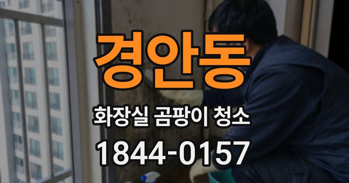 경안동 화장실 곰팡이 청소