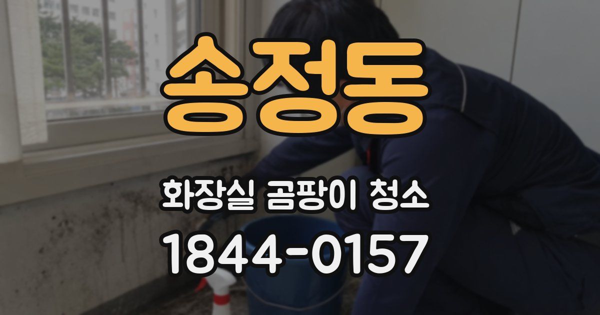 송정동 화장실 곰팡이 청소