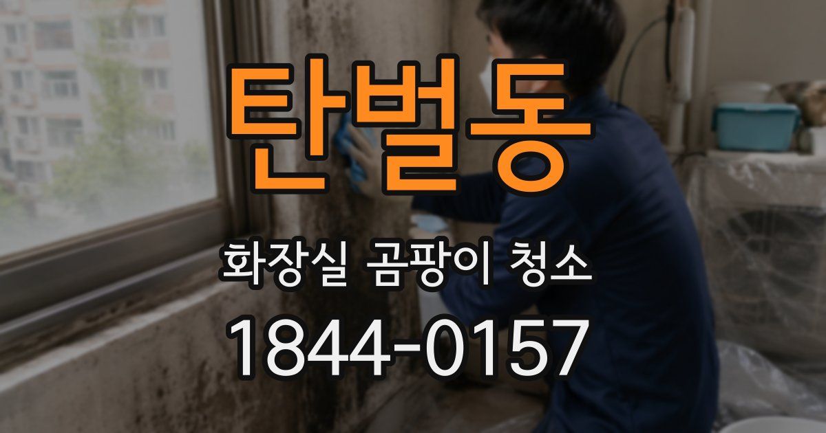 탄벌동 화장실 곰팡이 청소