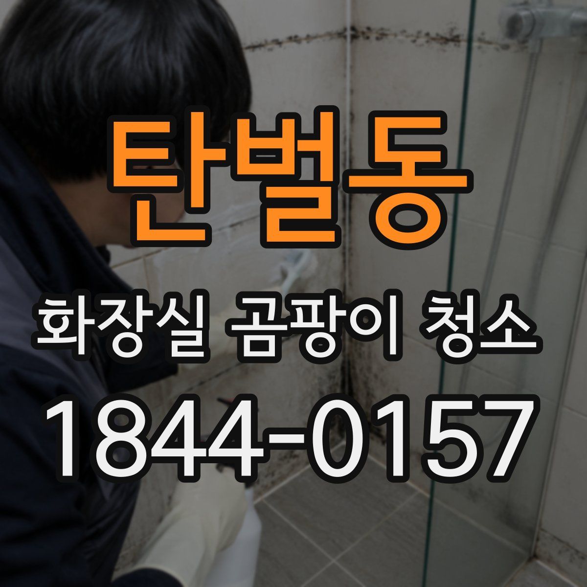 탄벌동 화장실 곰팡이 청소