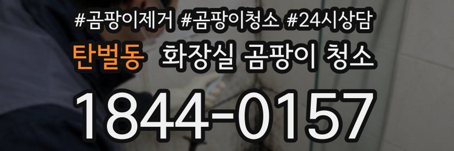 탄벌동 화장실 곰팡이 청소
