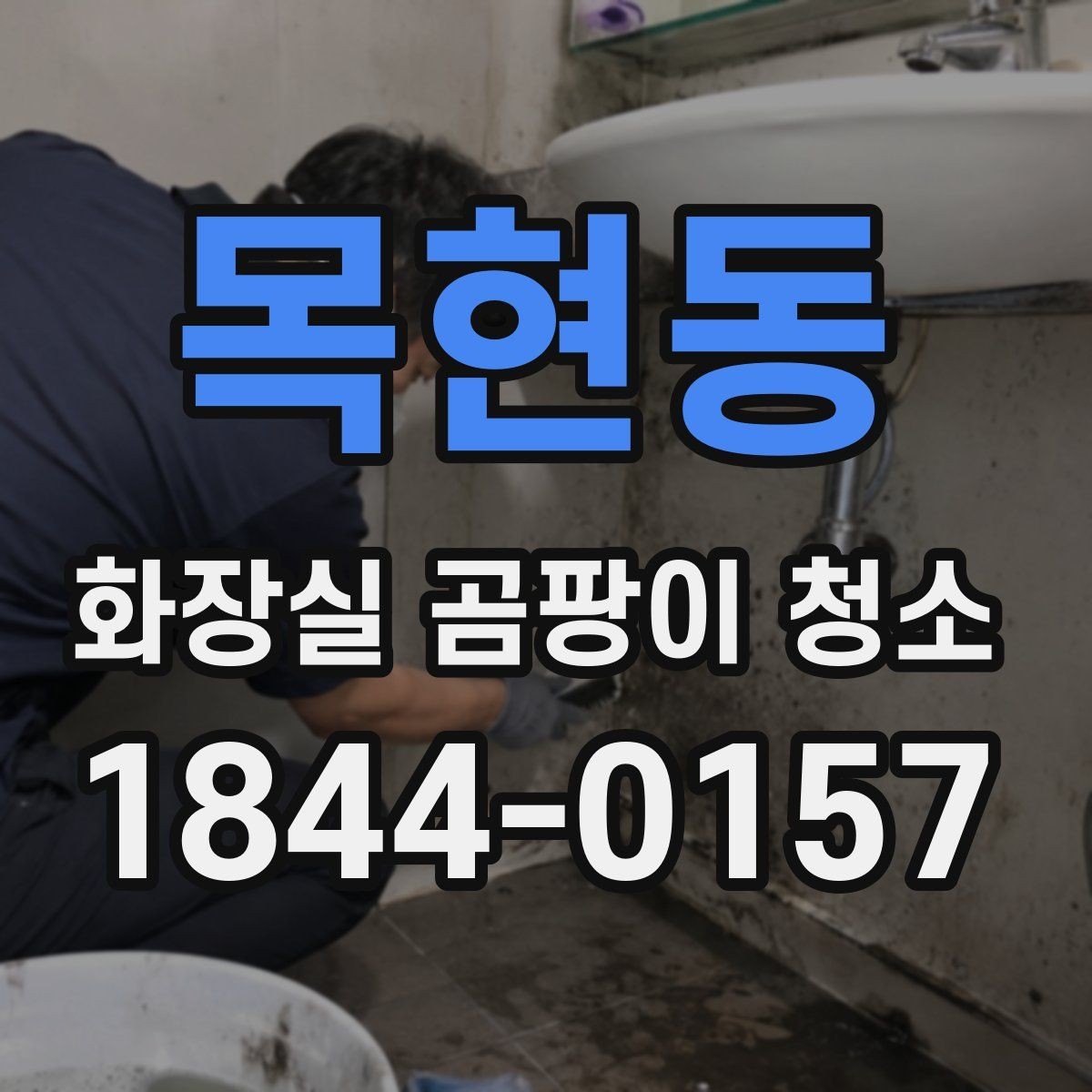 목현동 화장실 곰팡이 청소 세제 종류에 따라 달라지는 제거 효과