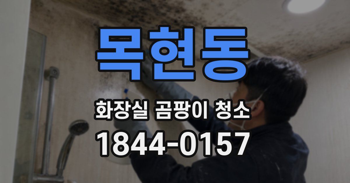 목현동 화장실 곰팡이 청소