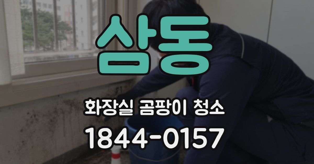 삼동 화장실 곰팡이 청소