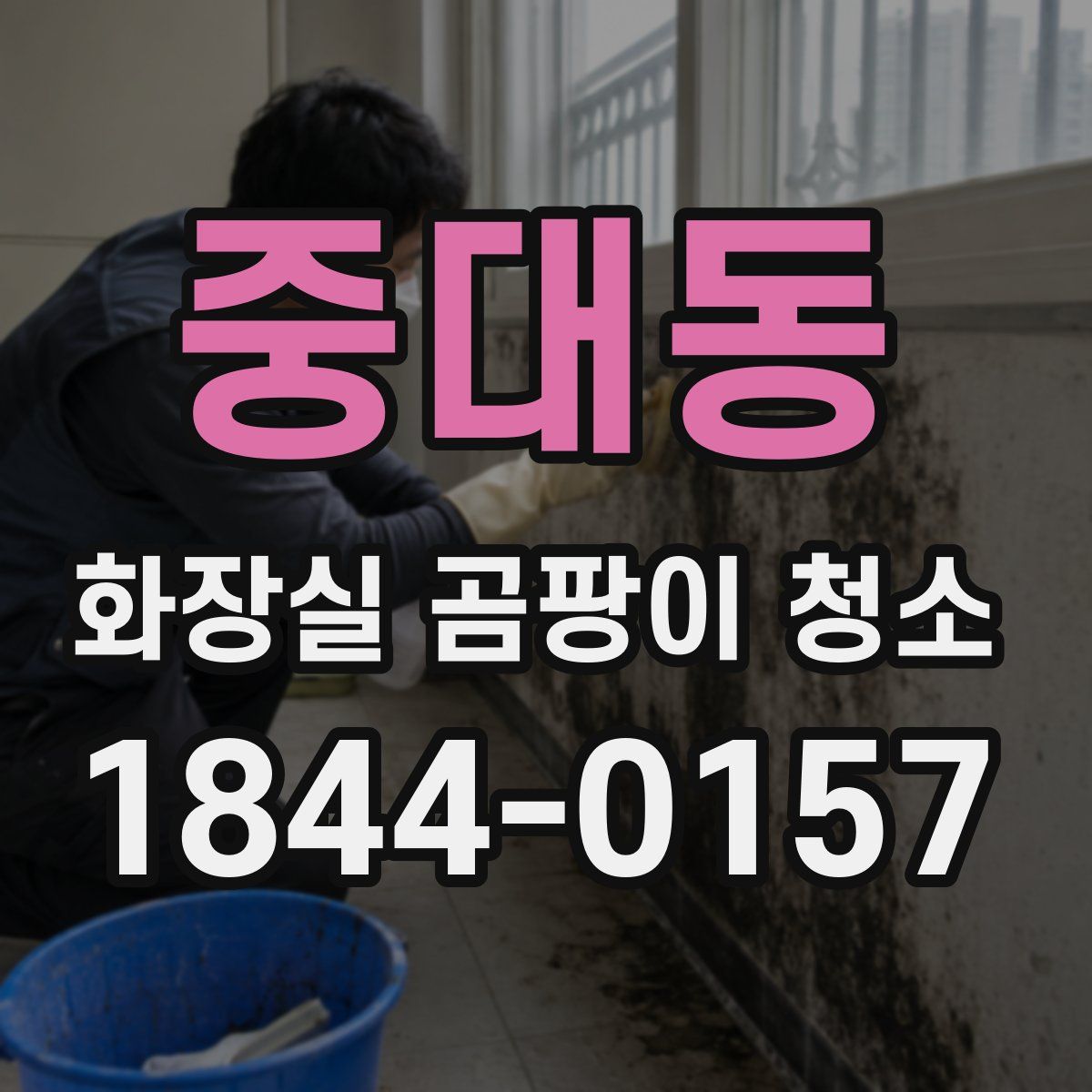 중대동 화장실 곰팡이 청소