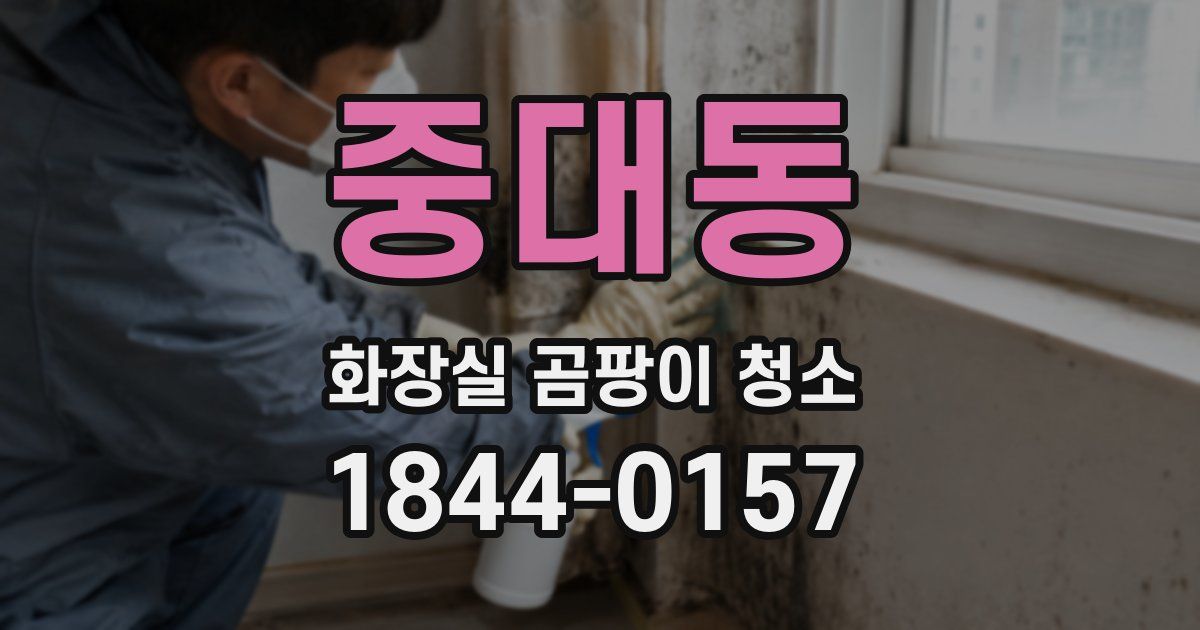 중대동 화장실 곰팡이 청소