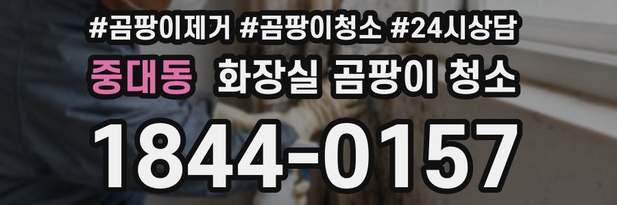 중대동 화장실 곰팡이 청소
