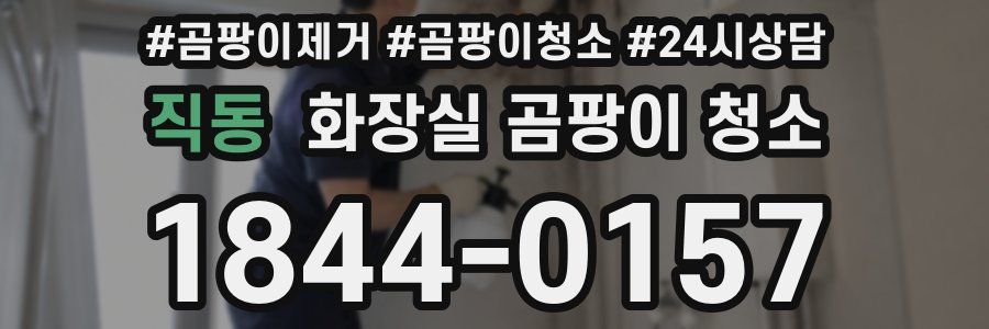 직동 화장실 곰팡이 청소