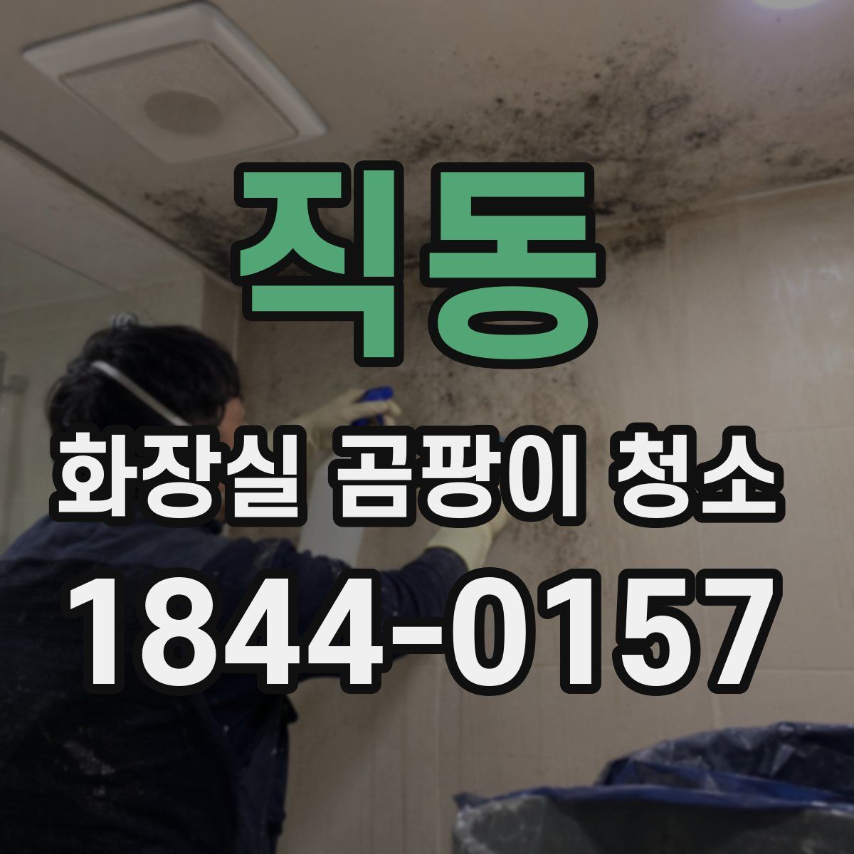 직동 화장실 곰팡이 청소