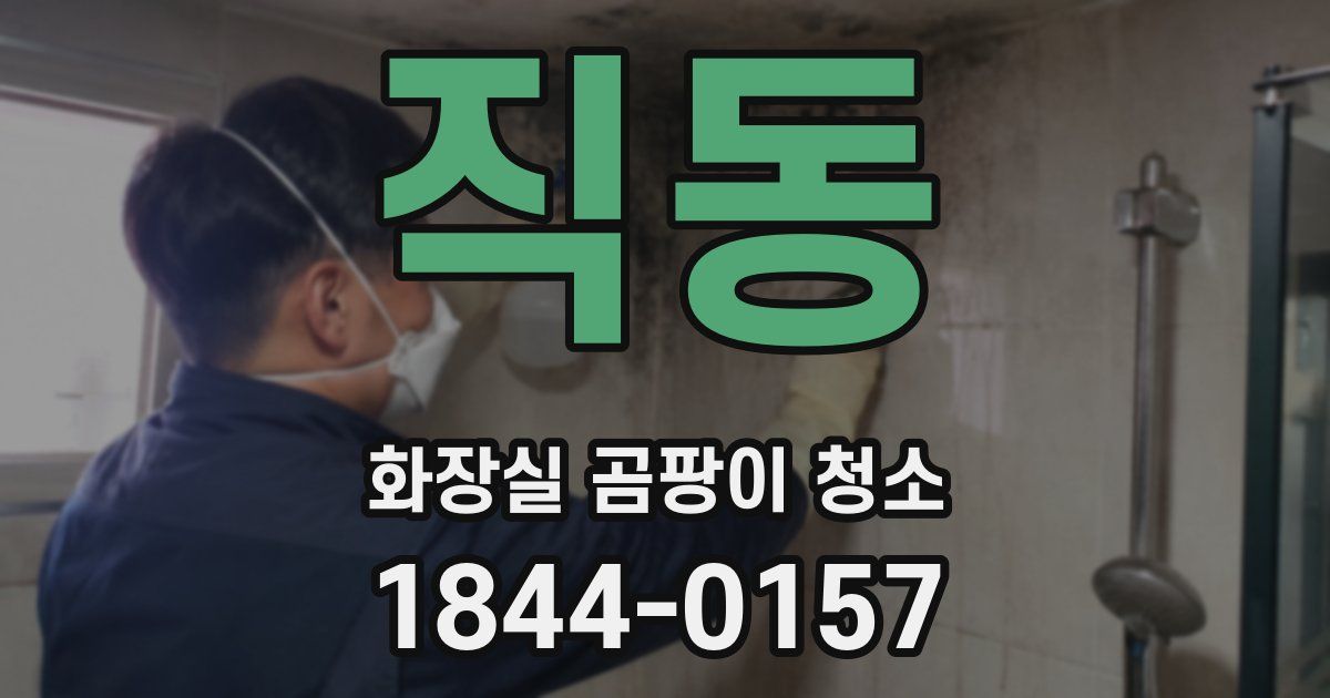직동 화장실 곰팡이 청소