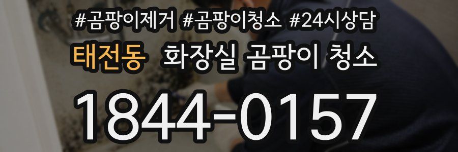 태전동 화장실 곰팡이 청소