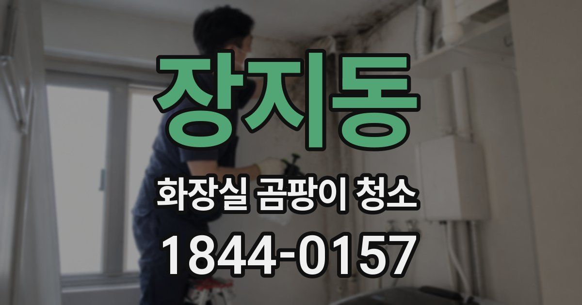 장지동 화장실 곰팡이 청소