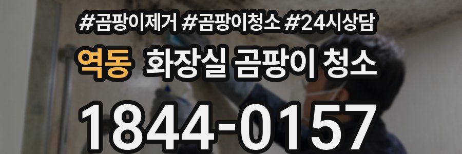 역동 화장실 곰팡이 청소