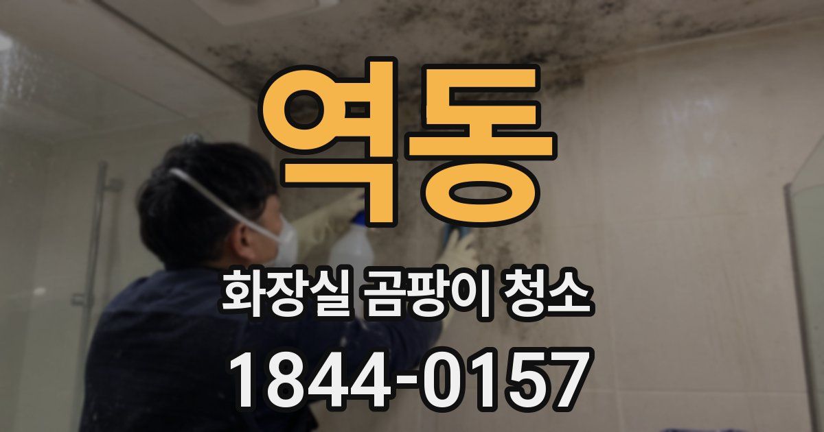 역동 화장실 곰팡이 청소