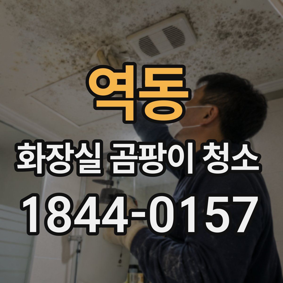 역동 화장실 곰팡이 청소