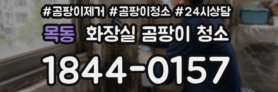 목동 화장실 곰팡이 청소